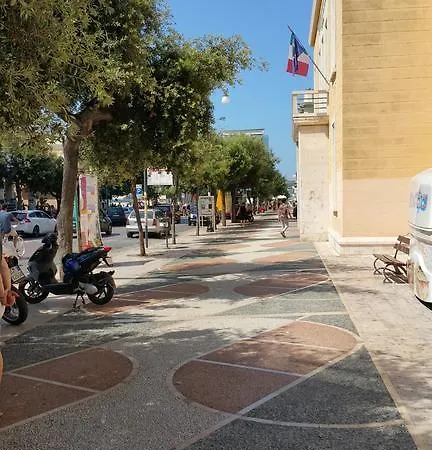 Aglaia Gallipoli